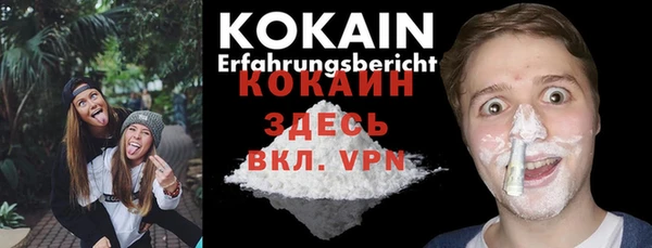 шишки Бронницы