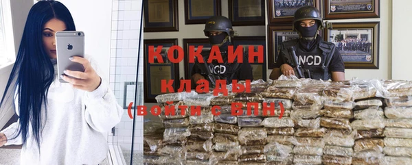 шишки Бронницы