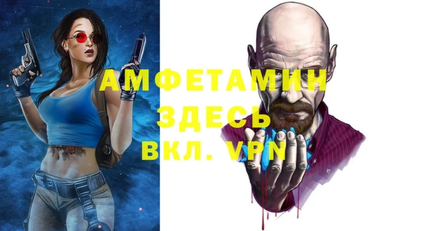 шишки Бронницы