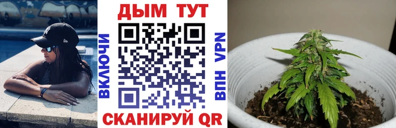 купить наркотик  Тихвин  Каннабис AK-47 